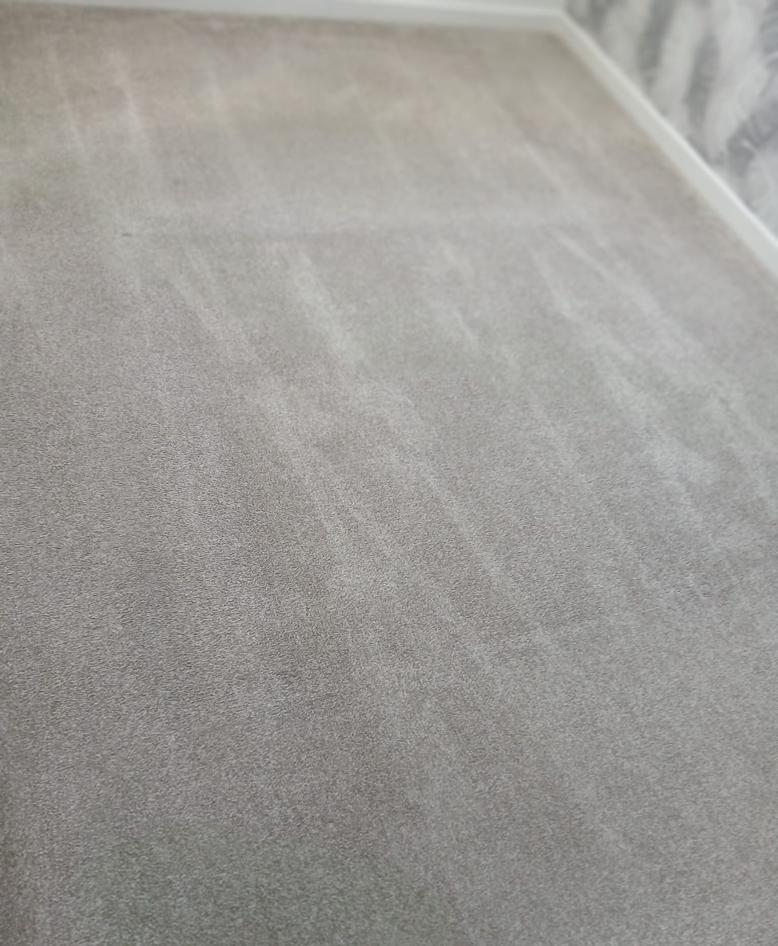 Plush Bedroom Carpet Steam Extraction