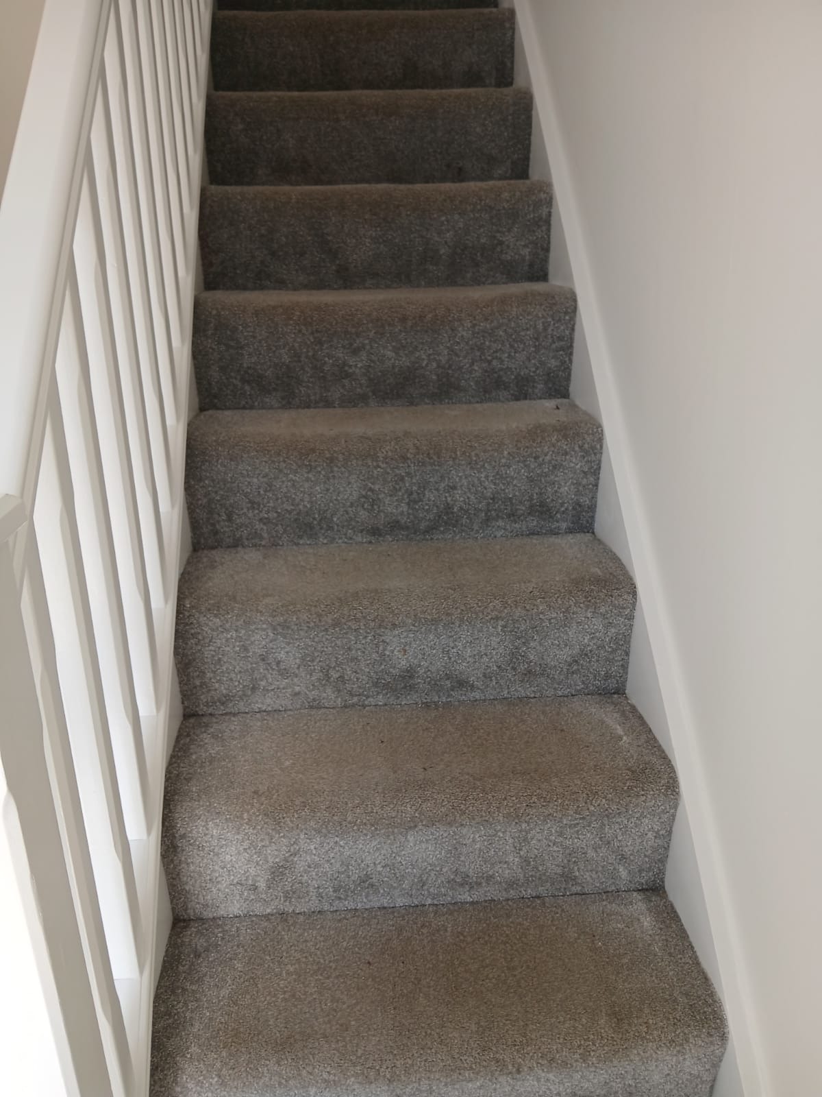Before professional cleaning
